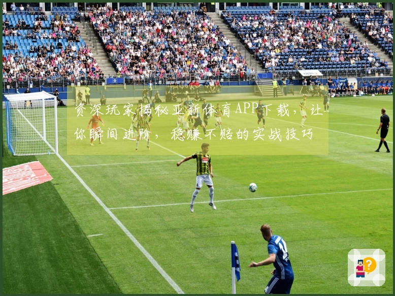 资深玩家揭秘亚新体育APP下载,让你瞬间进阶,稳赚不赔的实战技巧!