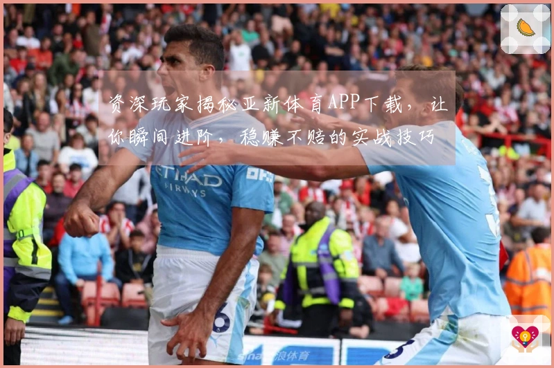 资深玩家揭秘亚新体育APP下载，让你瞬间进阶，稳赚不赔的实战技巧！